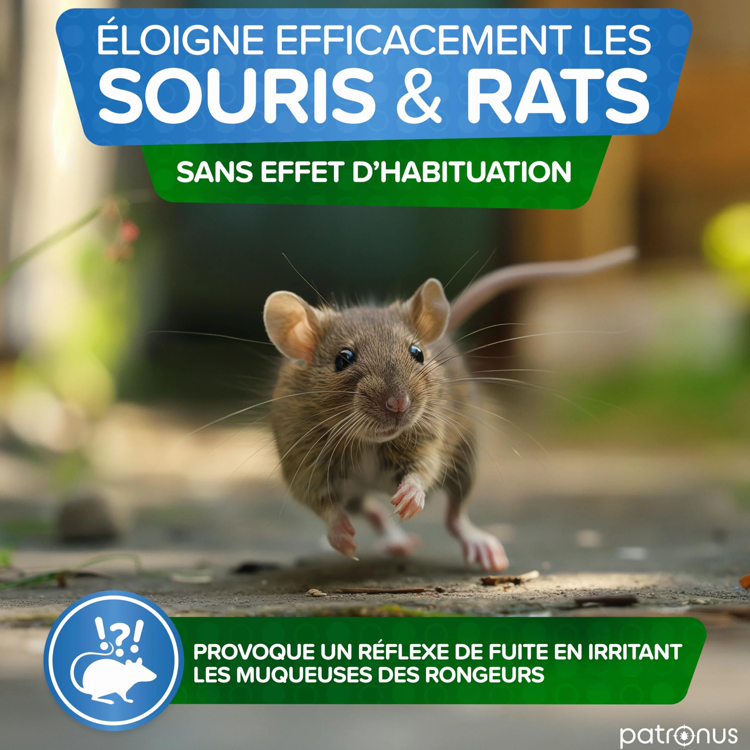 Patronus Répulsif Anti Souris Anti Rat 250ml – Intérieur Extérieur Non Tachant – Menthe Poivrée Ultra Concentrée