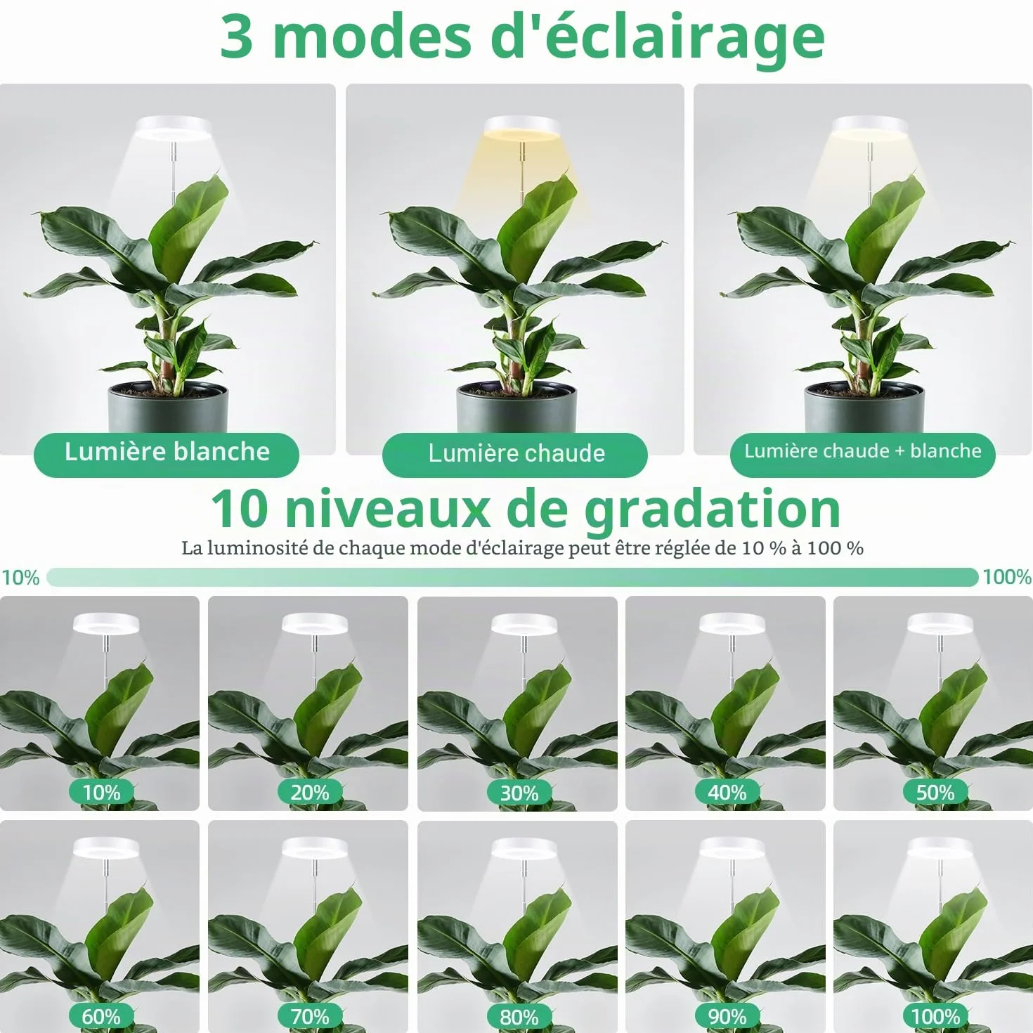 Mcbazel Lampe Plante LED Croissance 24 LED Spectre Complet Hauteur Réglable 61,5 cm Minuterie 4H/8H/12H 10 Niveaux Luminosité