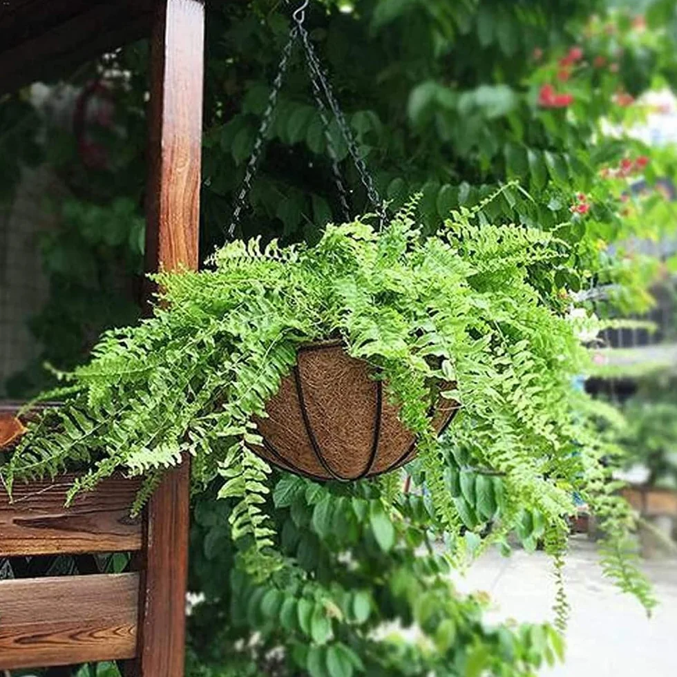 Lot de 2 jardinières suspendues en métal, panier pour plantes à suspendre, noix de coco