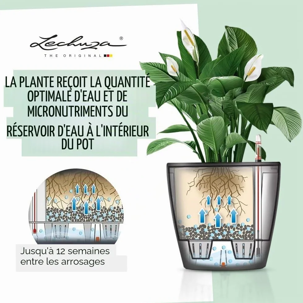 Lechuza Pot de Fleurs d'Intérieur Premium Classico Ls Réserve d'Eau Intégrée Blanc Ø 21 x 20 cm