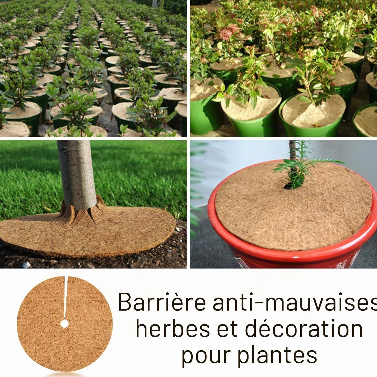 Lot de 4 housses de protection en noix de coco 20 cm pour pots de fleurs antigel extérieur
