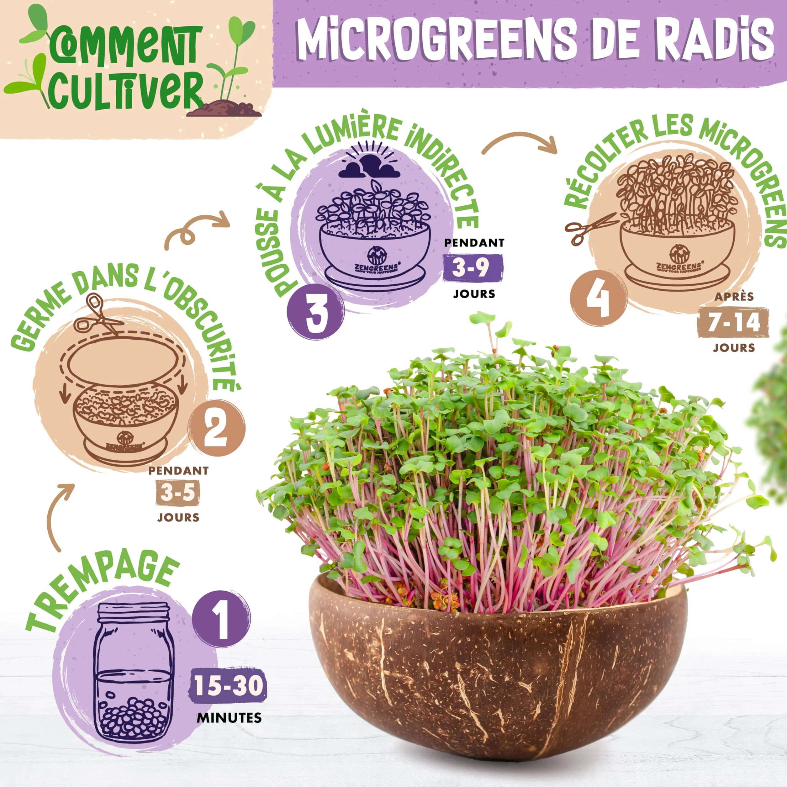 Kit de germoir pour microgreens Bio - Germoir en Coco - Inclus: coupelle, pastilles et graines (Brocoli, Radis, Haricot Mungo)