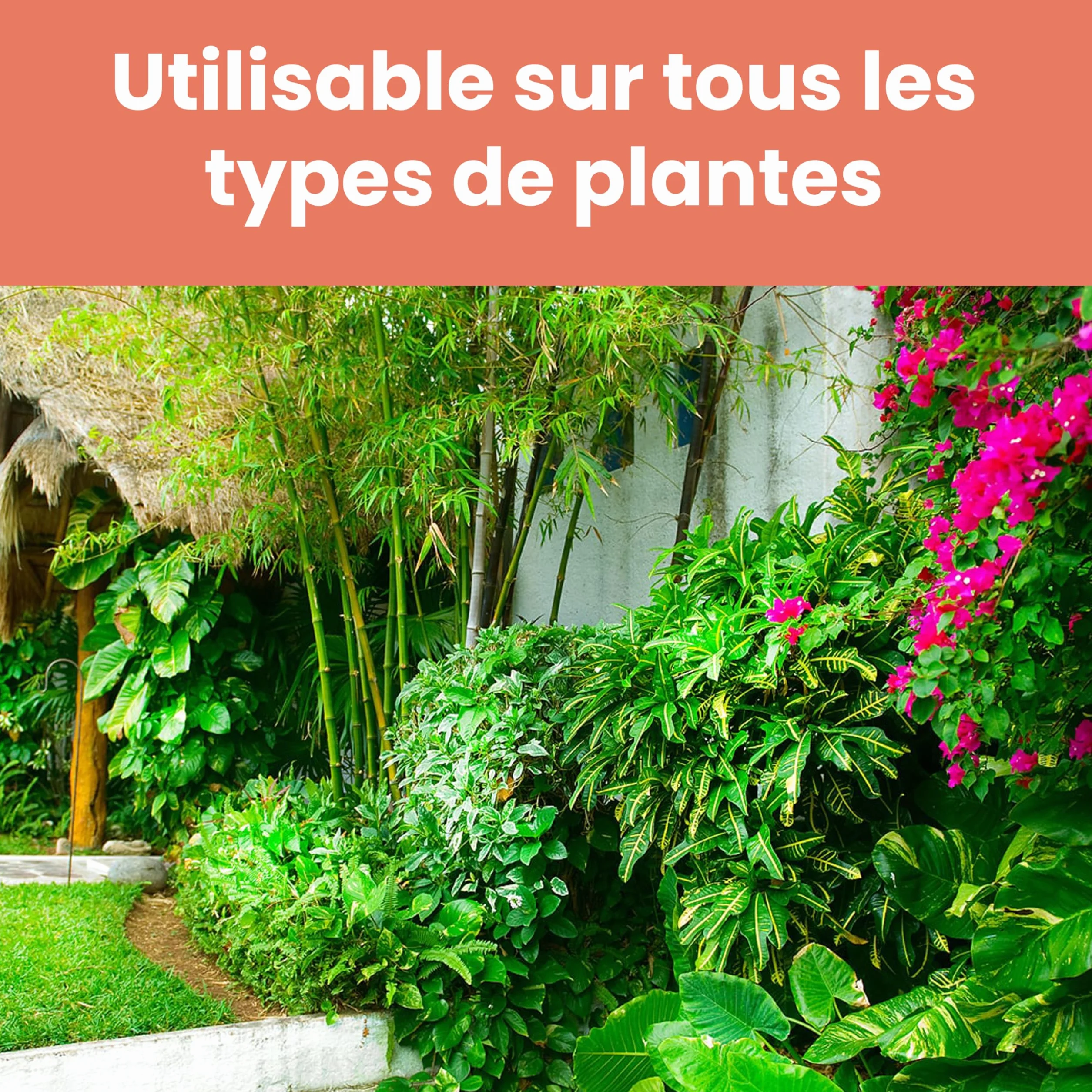 LERAVA chélate de fer 200g Anti-Chlorose Feuilles Jaunes Agriculture Biologique Toutes Cultures Pot ou Terre