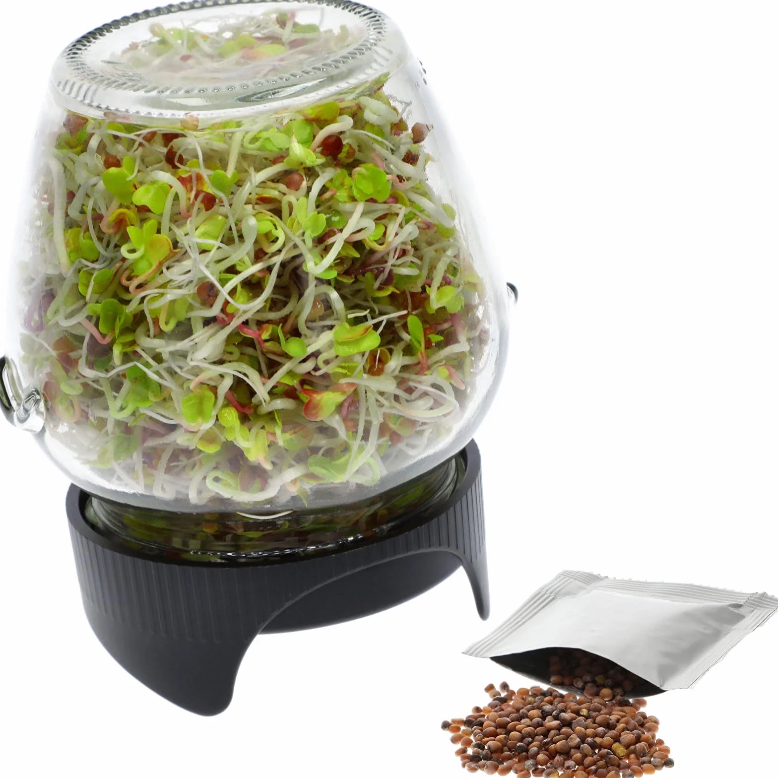 Browin Germoir en verre pour cultiver des germes sains, Noir, Transparent