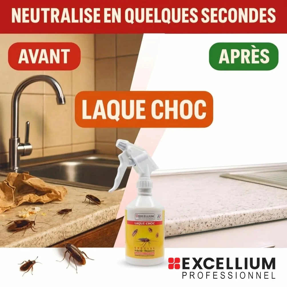 Excellium Laque Choc Insecticide Spécial Cafards et Punaises Spray Prêt à l'Emploi 500 ml