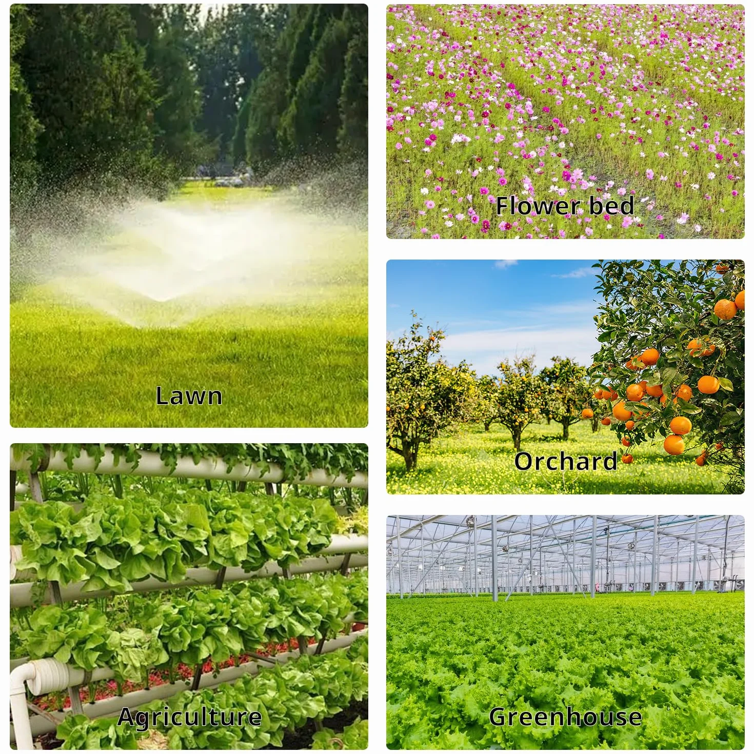 VooGenzek 50 Pièces Goutteurs Compensateurs de Pression 0.5/1/2 GPH 1/4 Pouce pour Arrosage Jardin