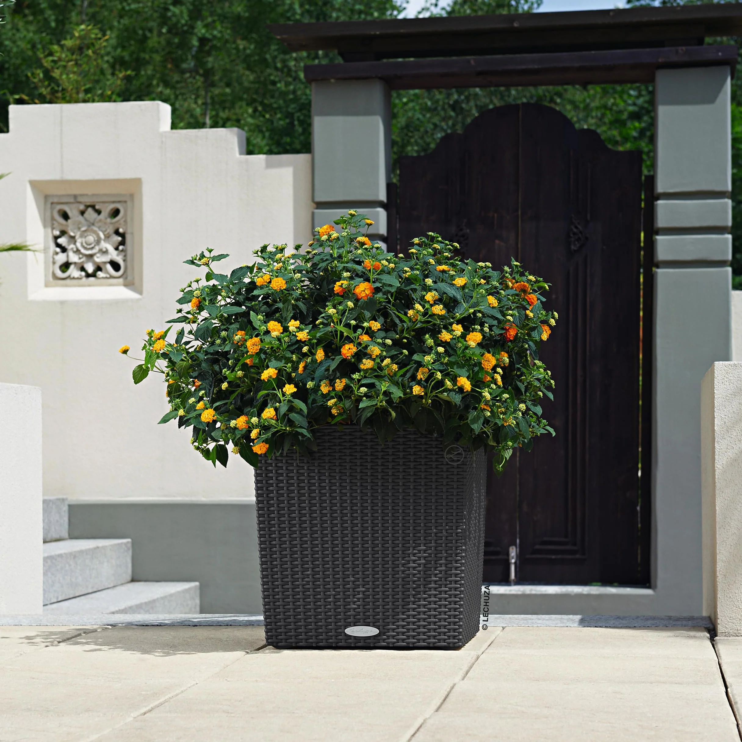 Lechuza Cottage Cube Pot de Fleurs d'Extérieur et d'Intérieur avec Réserve d'Eau Intégrée Granit 40 x 40 x 40 cm