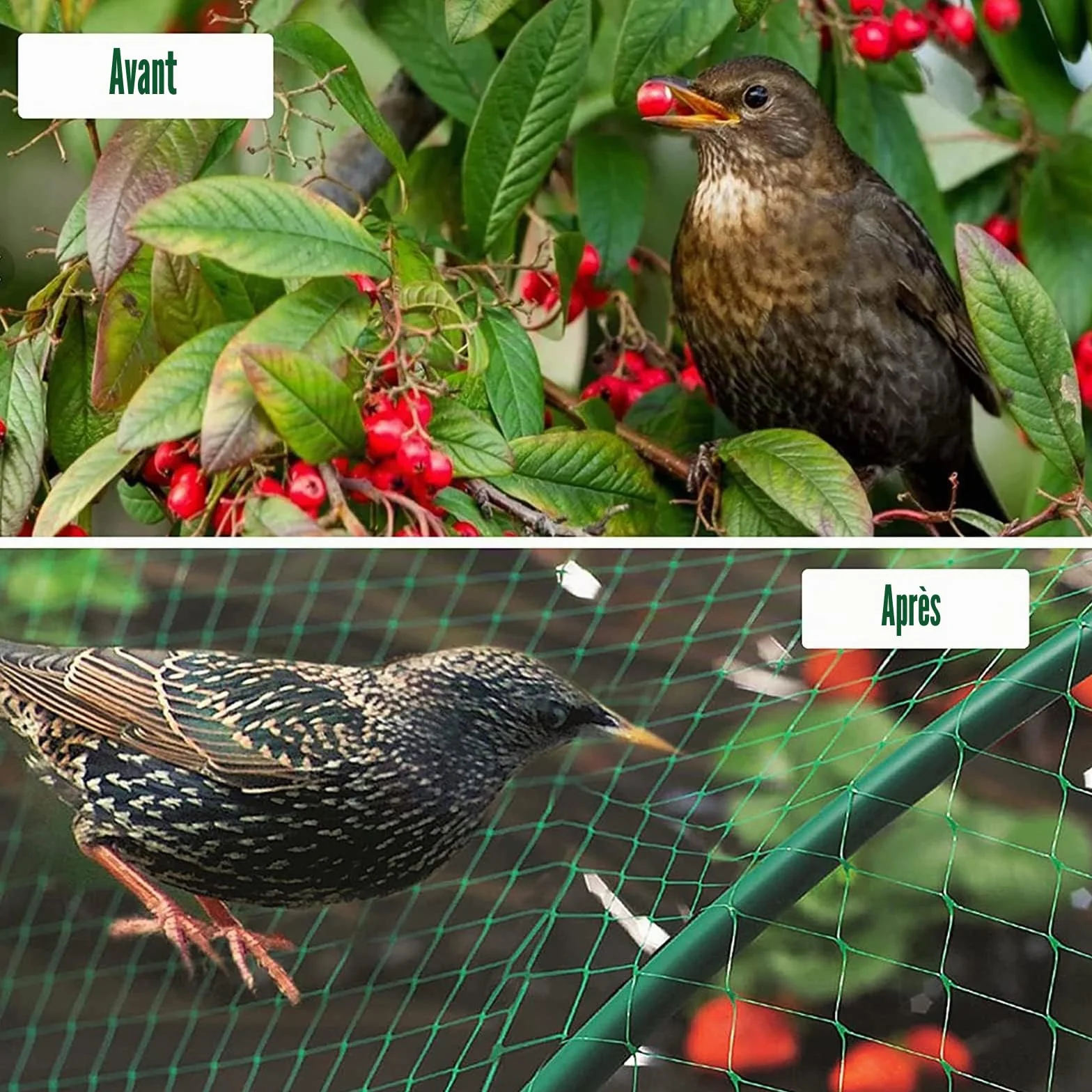 Filet Anti Oiseaux 4M x 12M Filet de Protection Jardin Plantes Fruits Fleurs