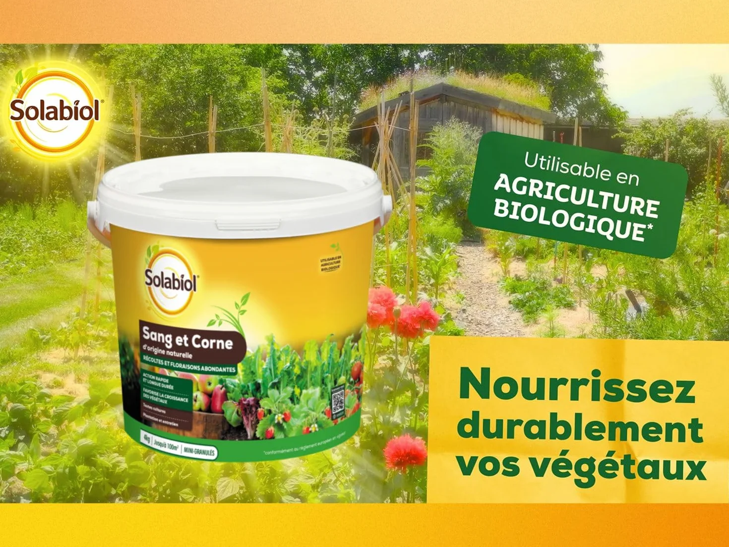 SOLABIOL Engrais Sang Et Corne 4Kg Jusqu'à 100m² Effet Rapide Longue Durée Agriculture Biologique
