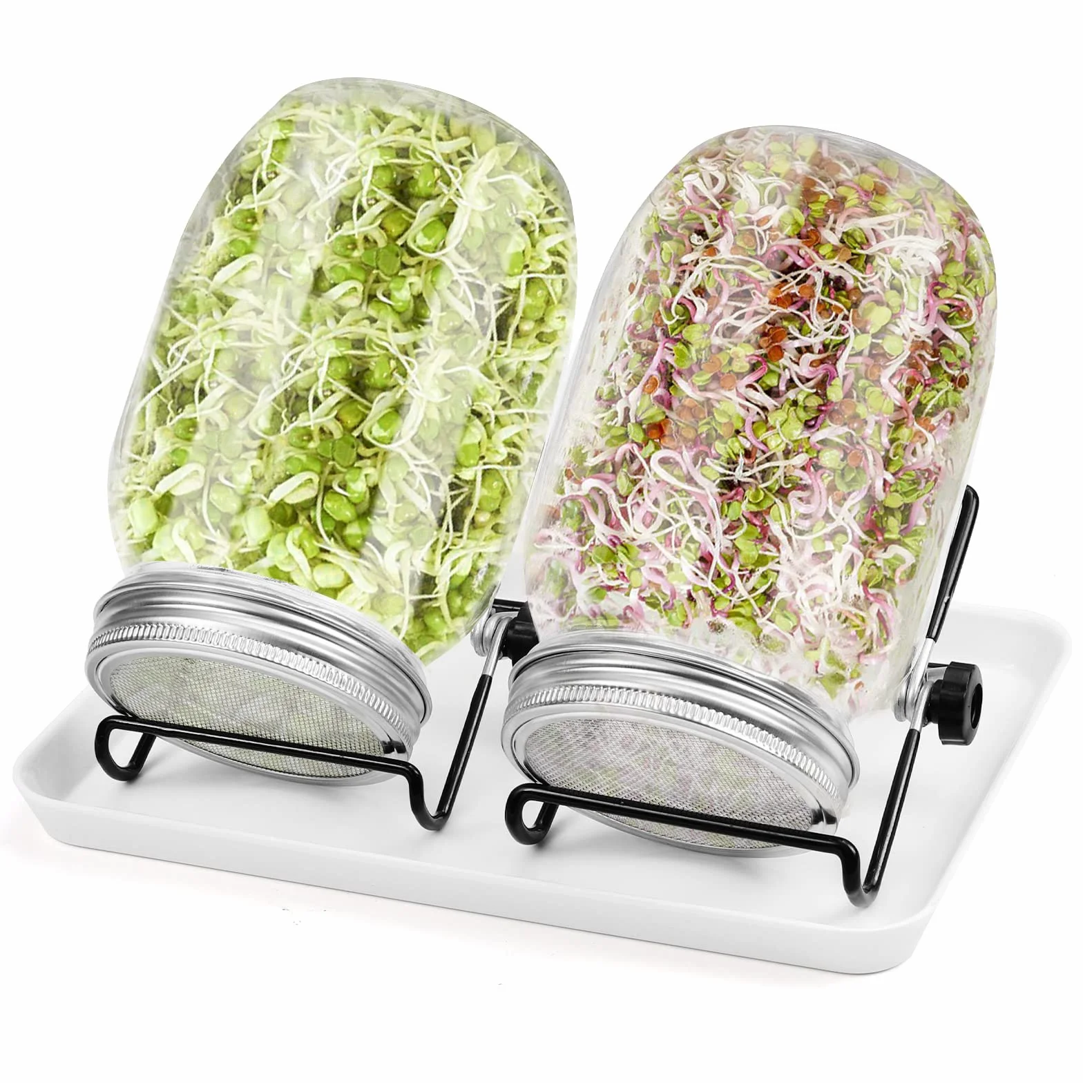 Bocaux à Germer en Verre 950 ML Lot de 2 avec Supports Réglables et Filtres en Acier Inoxydable