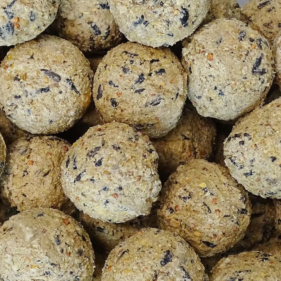 Boules de graisse 200 x 90 g sans filet