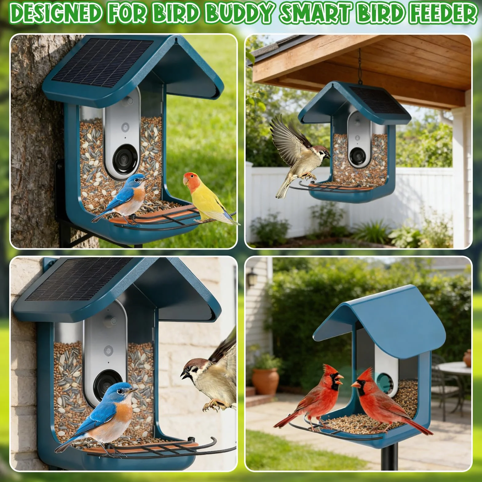Rallonge de perchoir en métal pour mangeoire Bird Buddy, Accessoires et pièce de Rechange