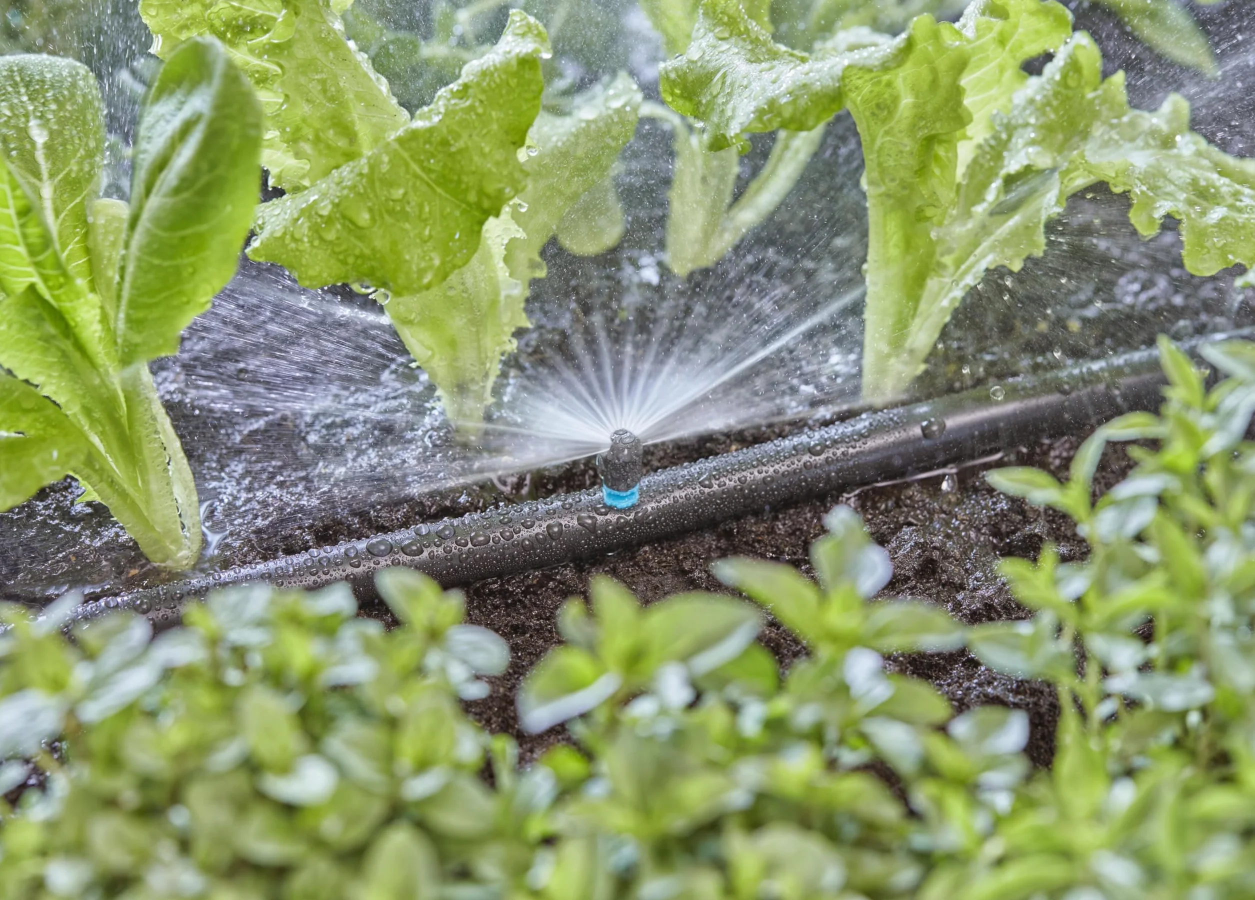 Gardena MDS-Spray Nozzle 180°
