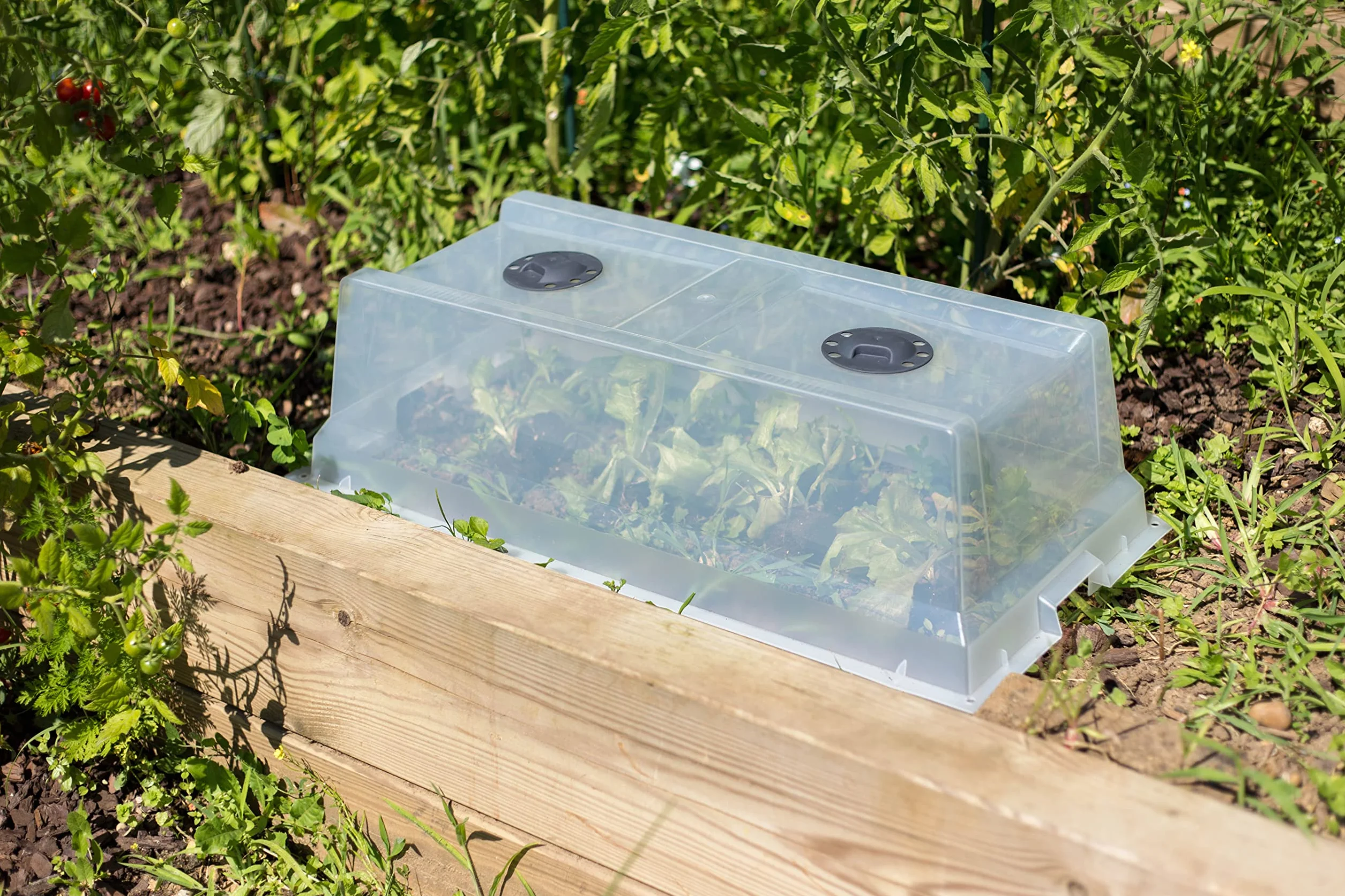 Serre de Culture Compatible Espace Potager Veg&Table City Double Aération Filtrage UV Transparent