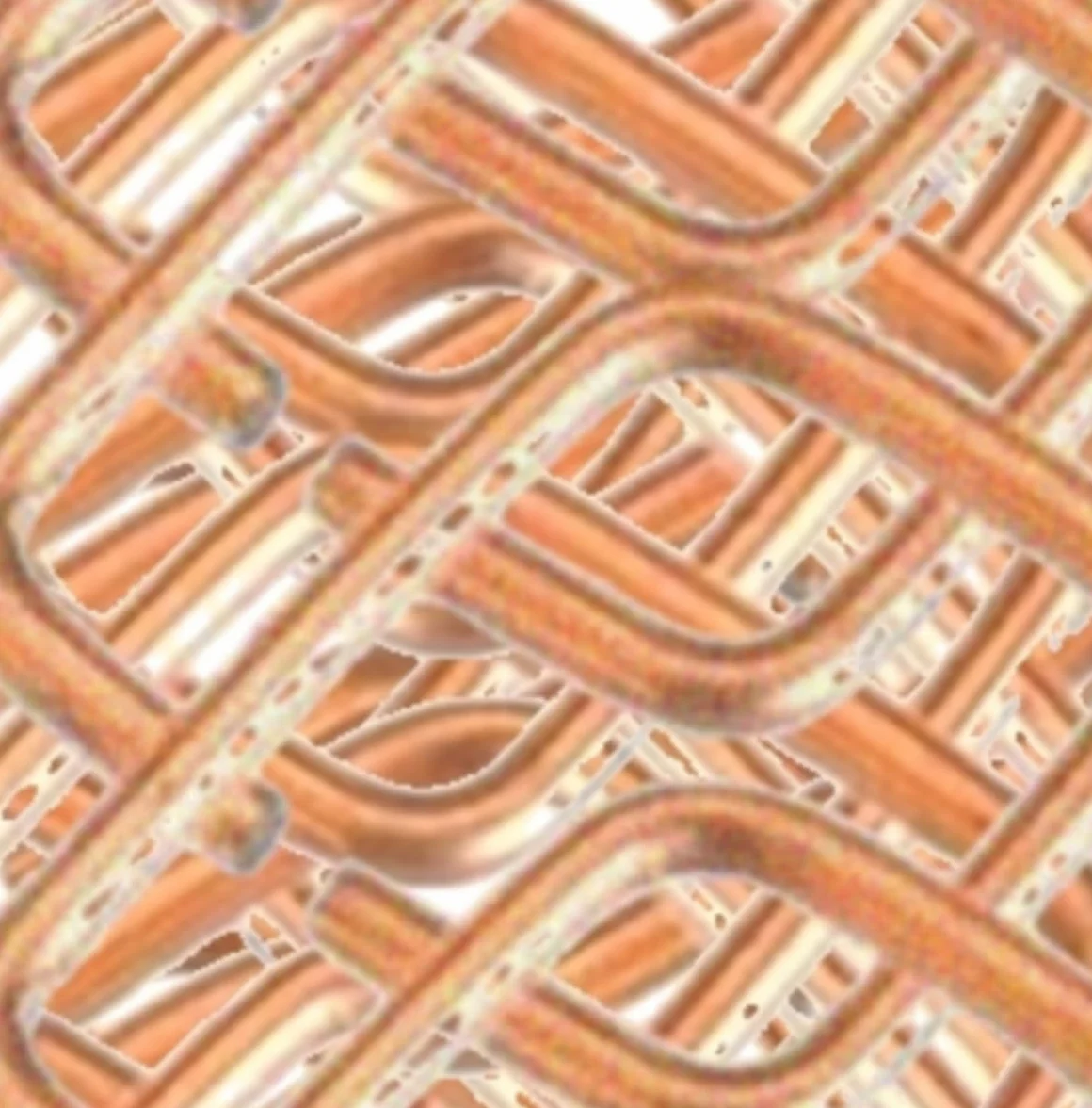 Putange Détentes Piège à Taupe Putanges 10