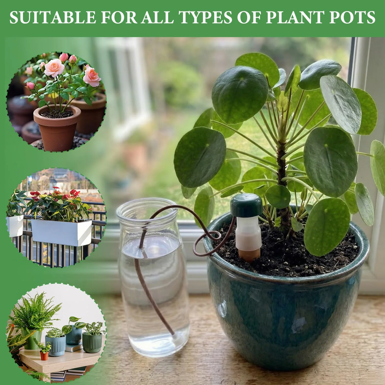 Distributeur Eau Plante Arrosage Intérieur Vacances Système Irrigation Automatique Réserve Eau 6 Lot (Brun)