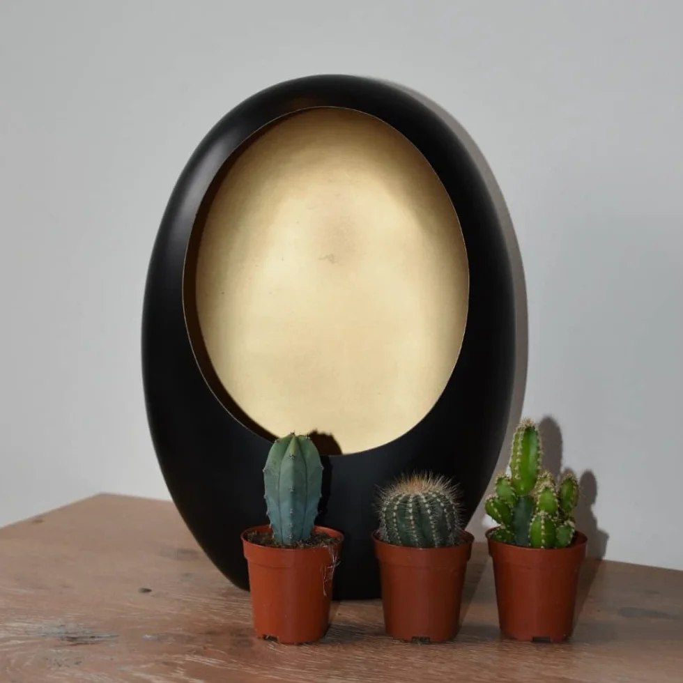 Cactus Naturelles en pot Ø 5.5 cm Lot de 18 Hauteur 5-10 cm Mélange Plantes Grasses Intérieur