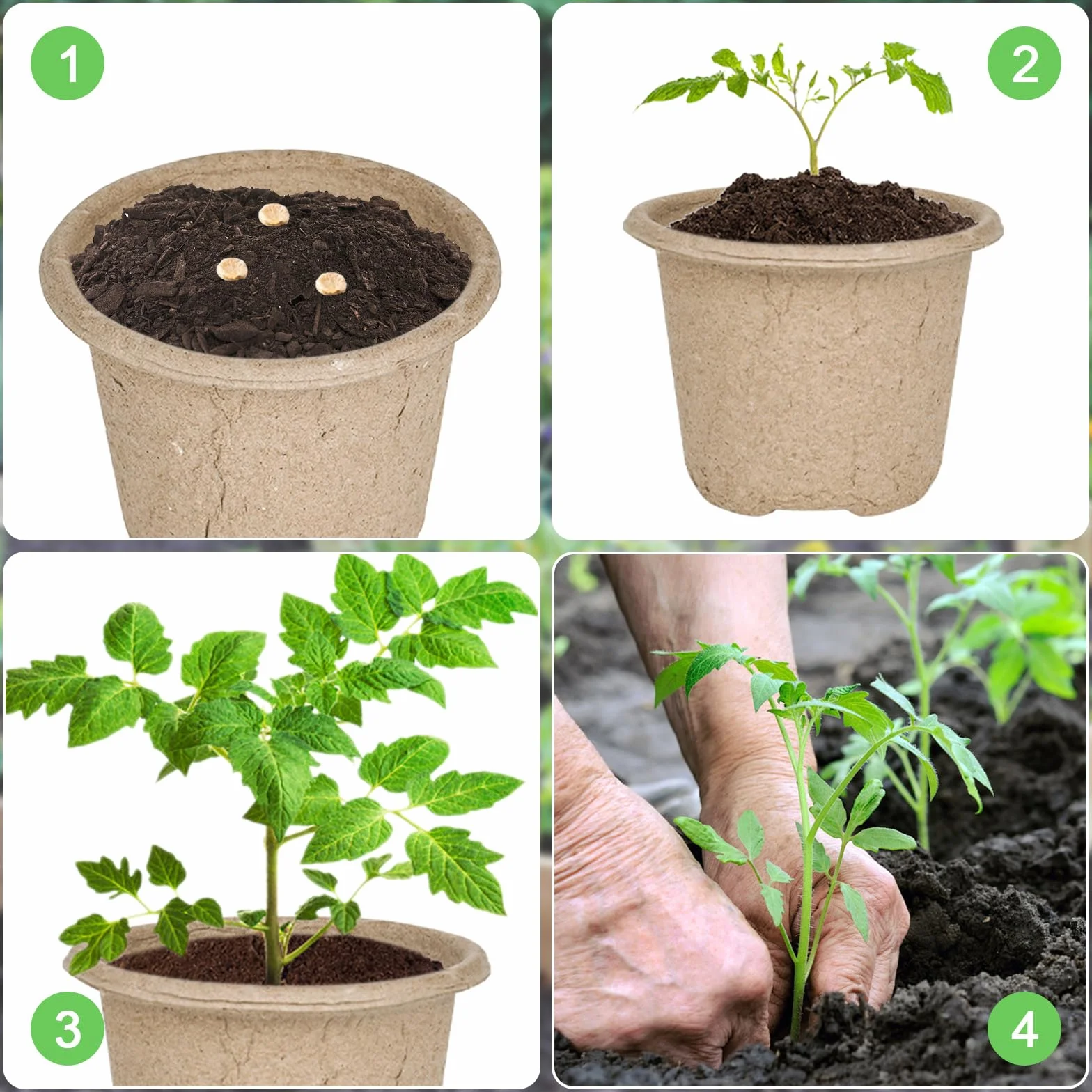 Pots de semis biodégradables Ø 11 cm lot de 20 avec étiquettes