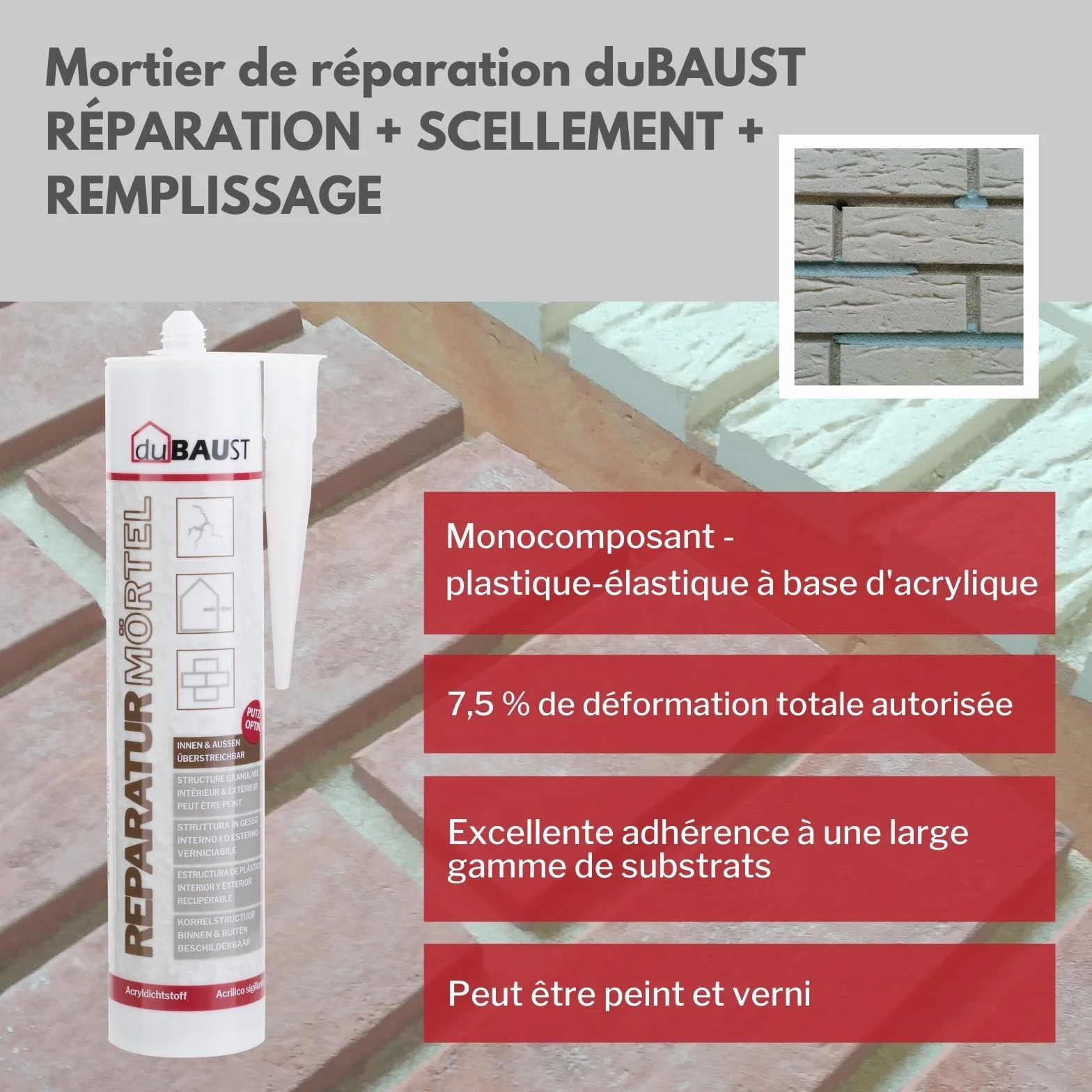 REP24 Mortier de réparation Mastic pour joints Ciment express Cartouche de 310 ml Mastic gris ciment (1)
