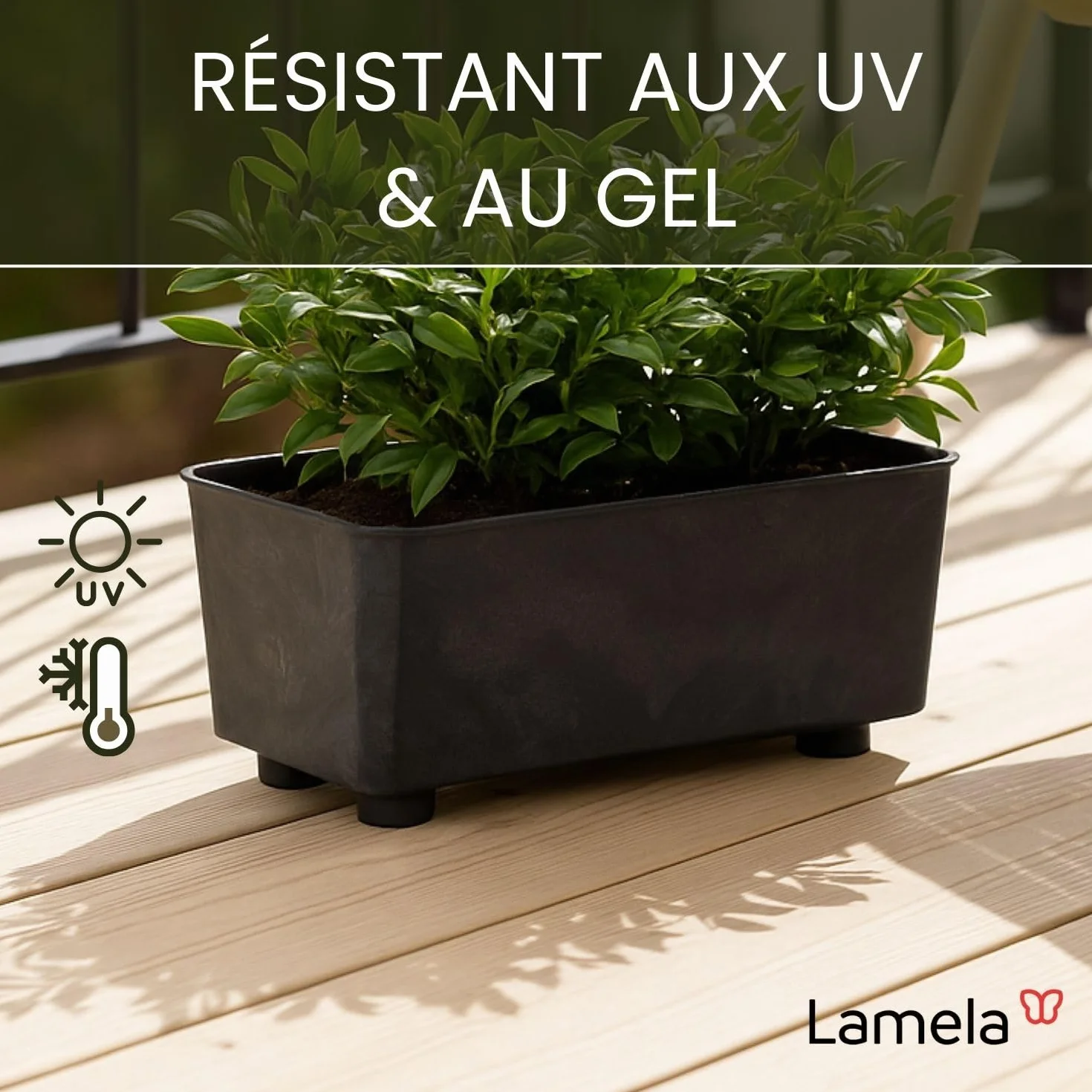 LAMELA Jardinière Rectangulaire Noir Aspect Béton 28,5 x 17 cm 4,2L Plastique Robuste Résistant Aux Intempéries