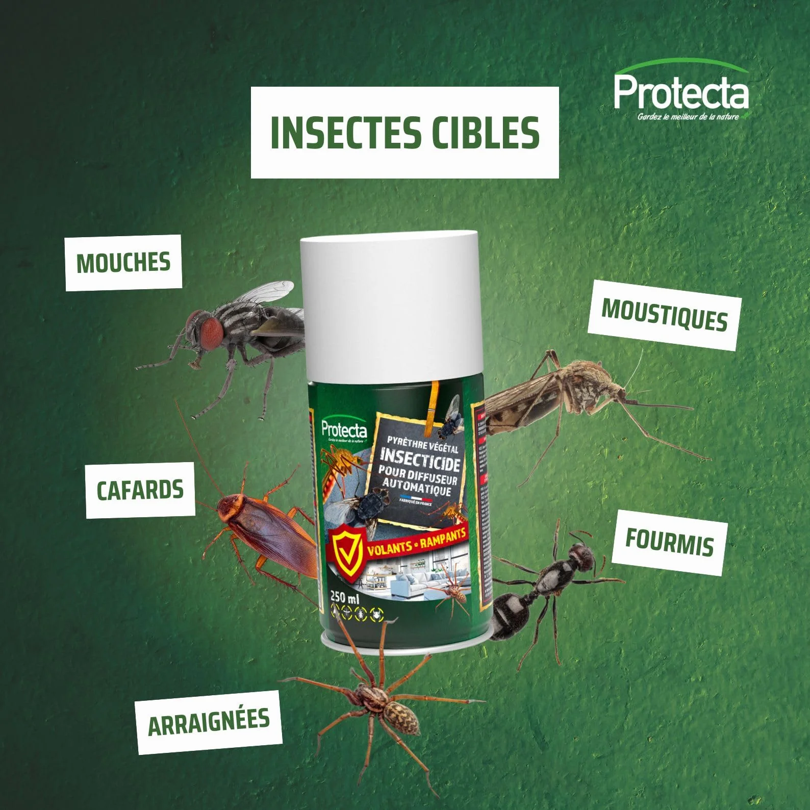 Protecta Aérosol Insecticide Anti-Moustiques Mouches Cafards Fourmis Pyrèthre Végétal Lot de 2