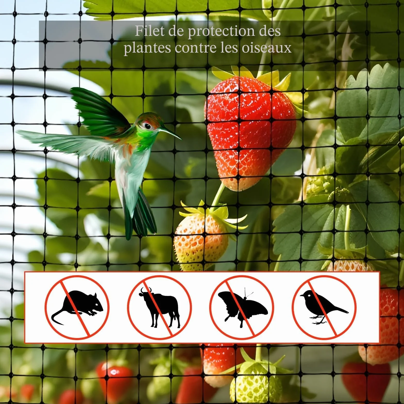 Filet Anti Oiseaux Arbre Fruitier 4 x 10m avec 50 Attache Câble Réutilisable