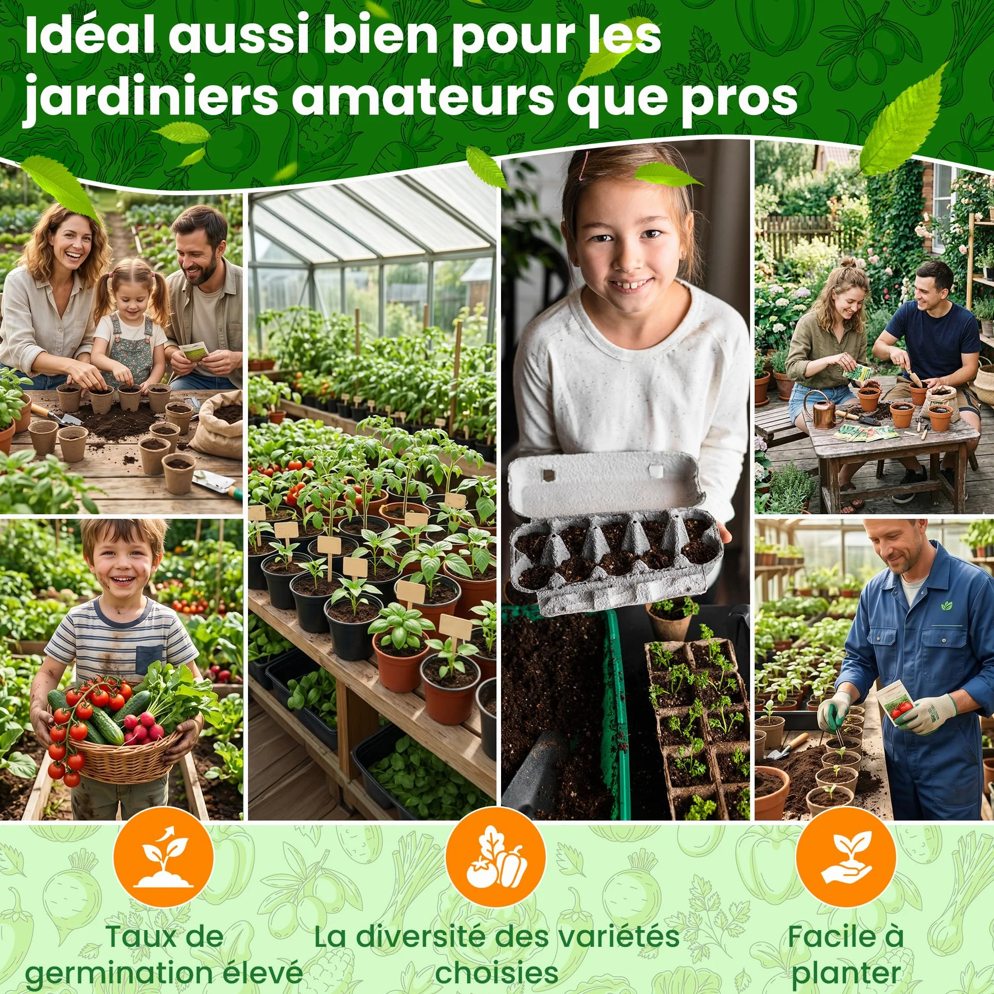 Kit de Graines de Légumes 15 Variétés – Tomate, Concombre, Carotte, Poivron, Courgette, Radis