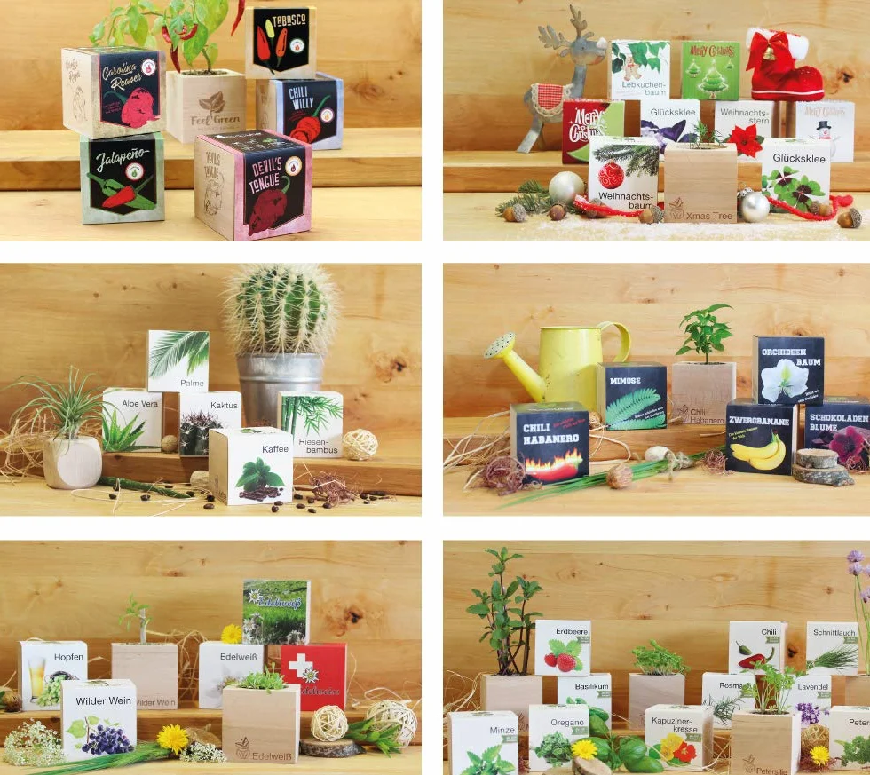 Feel Green Ecocube Trèfle Porte-Bonheur Kit de Culture dans un Cube en Bois