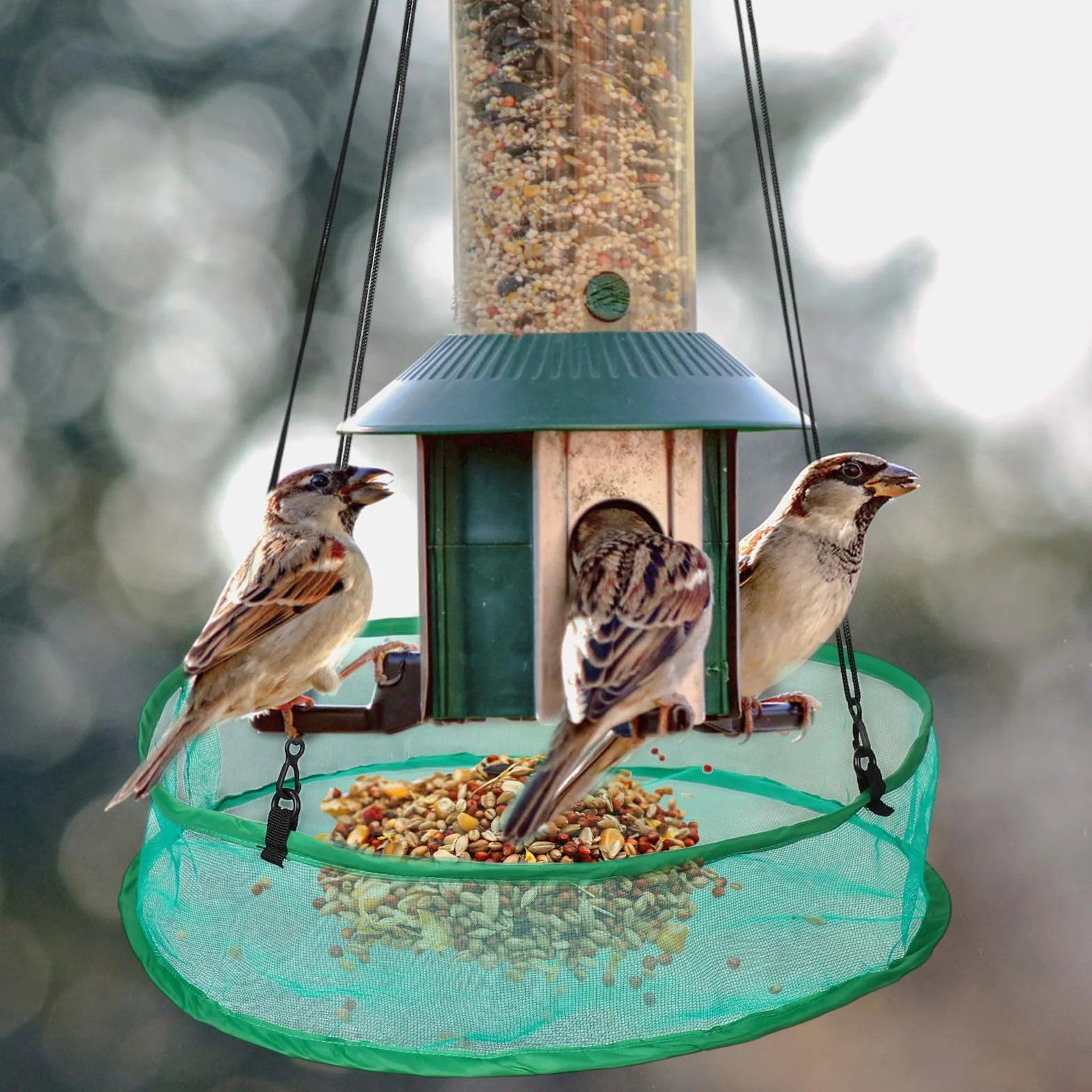 Lyreh Plateau Récupérateur de Graines pour Oiseaux 50cm, 8 Cordes Suspension 4 Sacs Rangement, Vert
