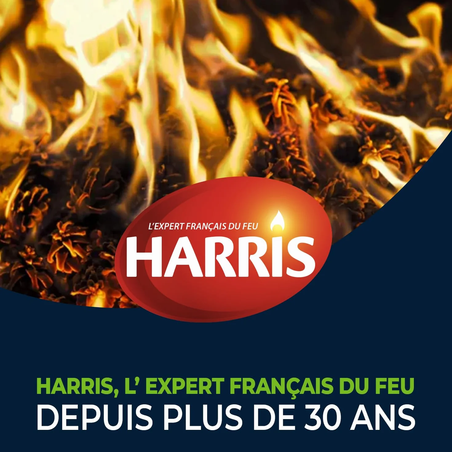HARRIS 4° Cubes allume feu 100% végétal longue durée x40