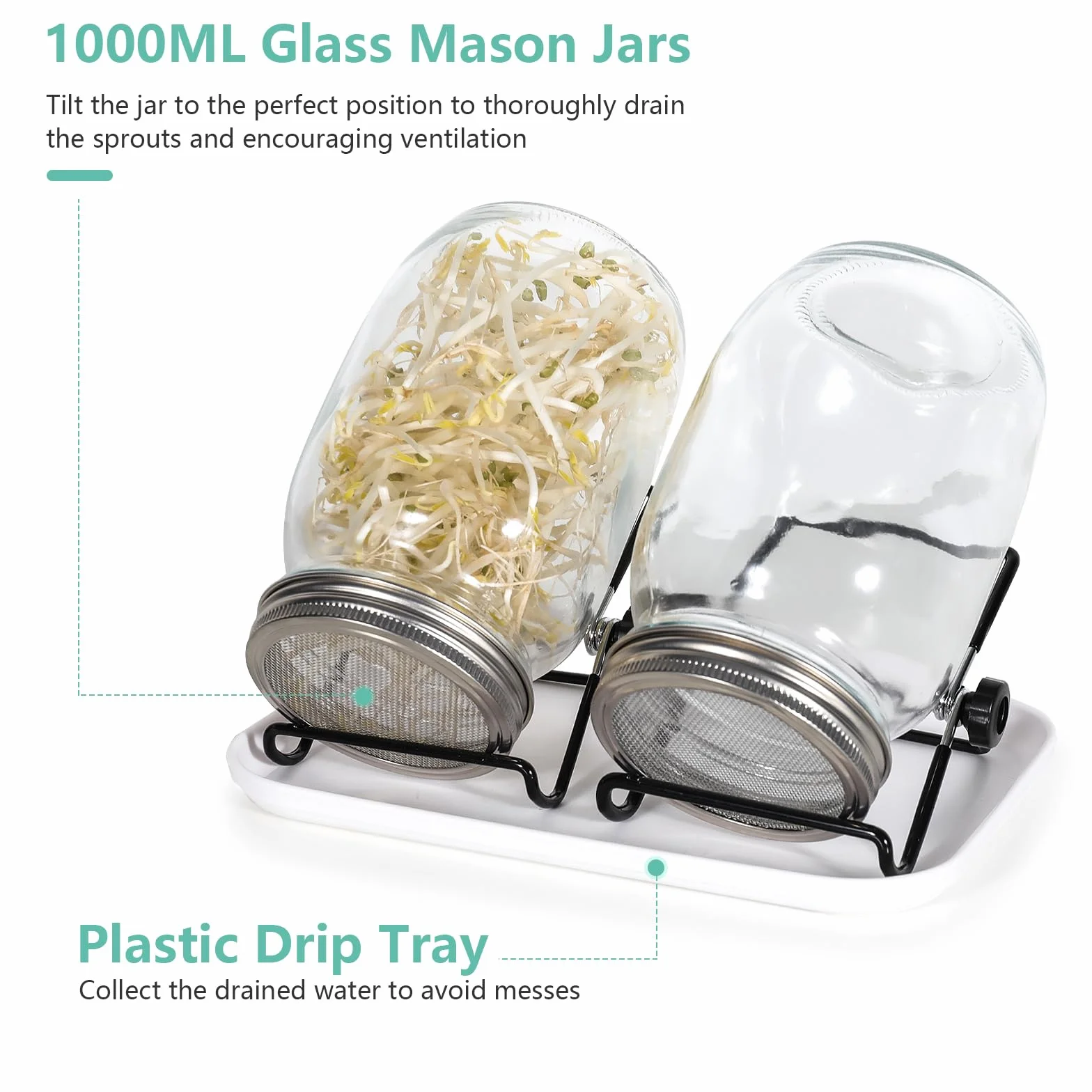 Cinnani Bocal de Germination 2x1000ml Germoir en Verre avec Couvercle Grille Acier Inoxydable Support Plateau Kit