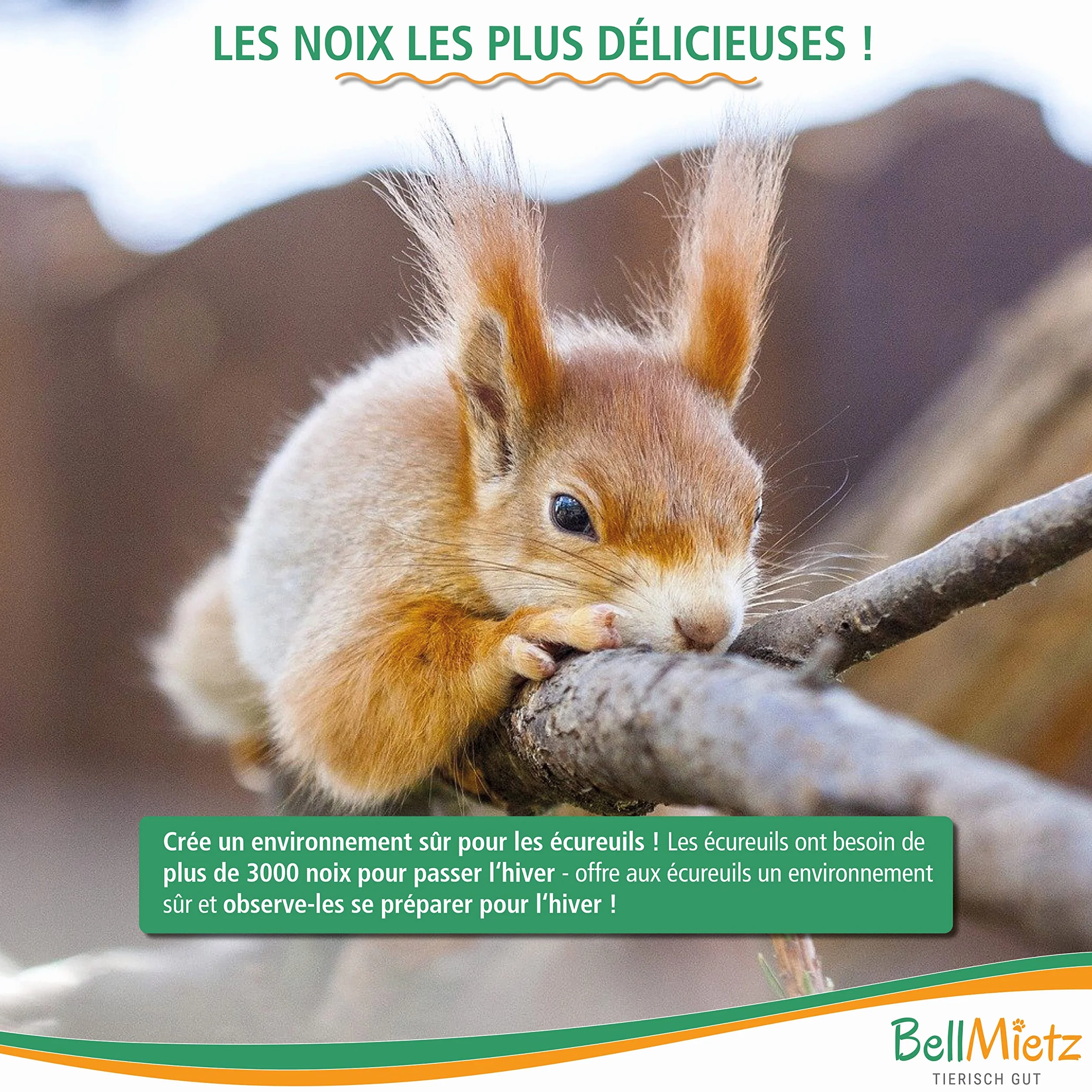 Mangeoire pour écureuils en bois certifié FSC avec système de ventilation innovant résistante aux intempéries