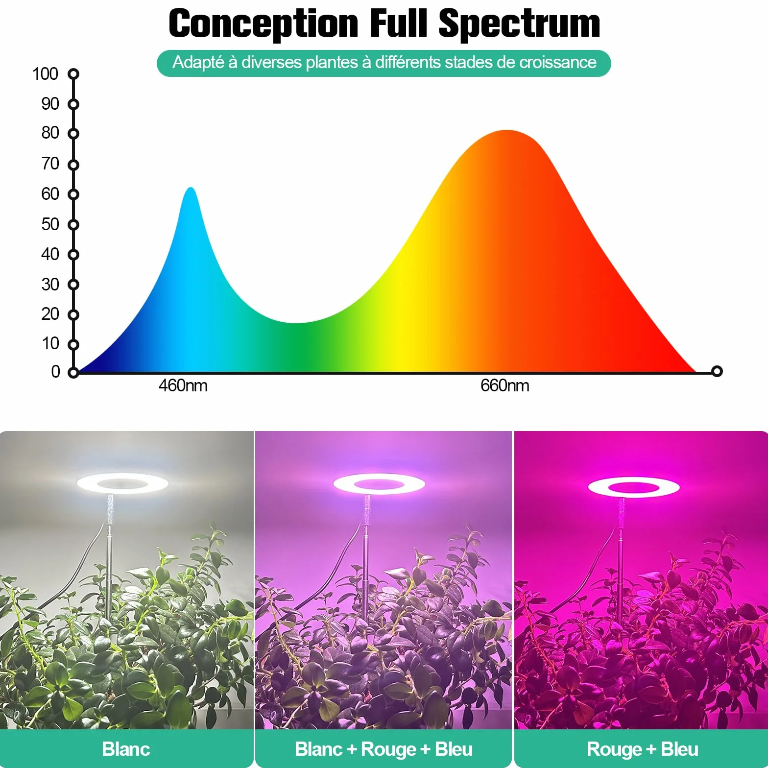 Lampe Plante Spectre Complet Réglable Hauteur Minuterie 3/9/12h 10 Luminosité 3 Modes Lumière 2-Tête pour Semis Succulentes Orchidée