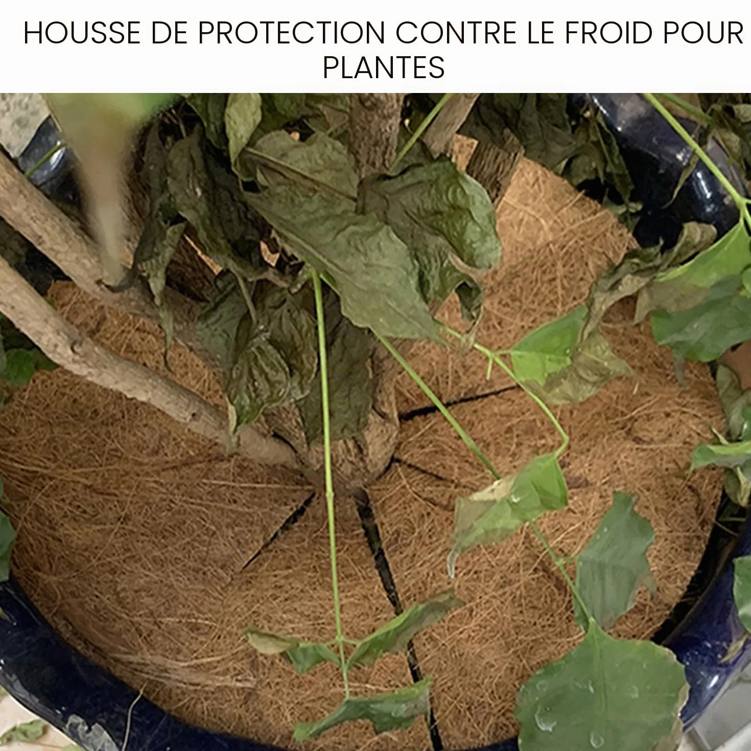 Lot de 4 housses de protection en noix de coco 20 cm pour pots de fleurs antigel extérieur