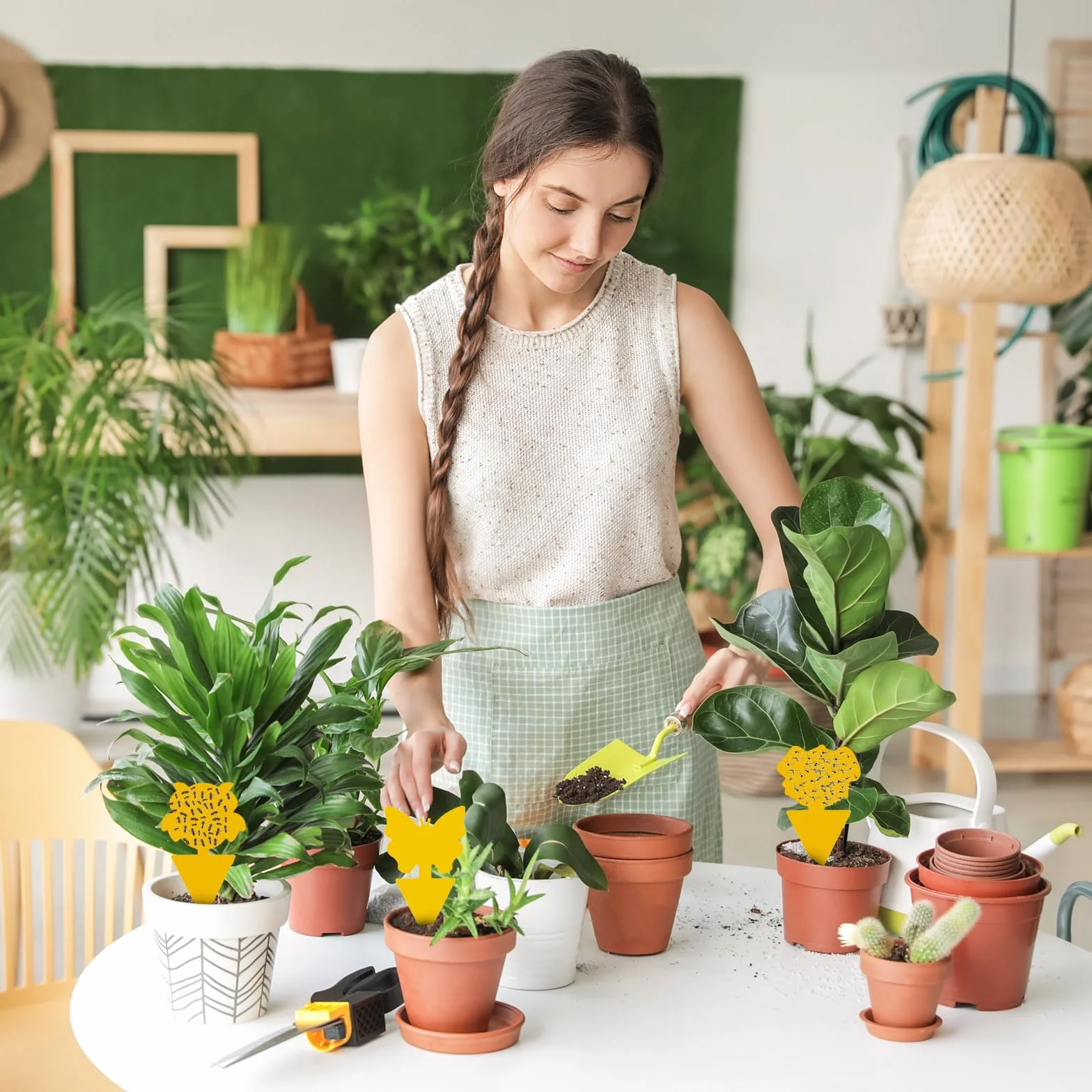 50 Pièges Anti Moucherons Intérieur, Attrape Moucheron Plantes, Pièges à Insectes Jaune Collants
