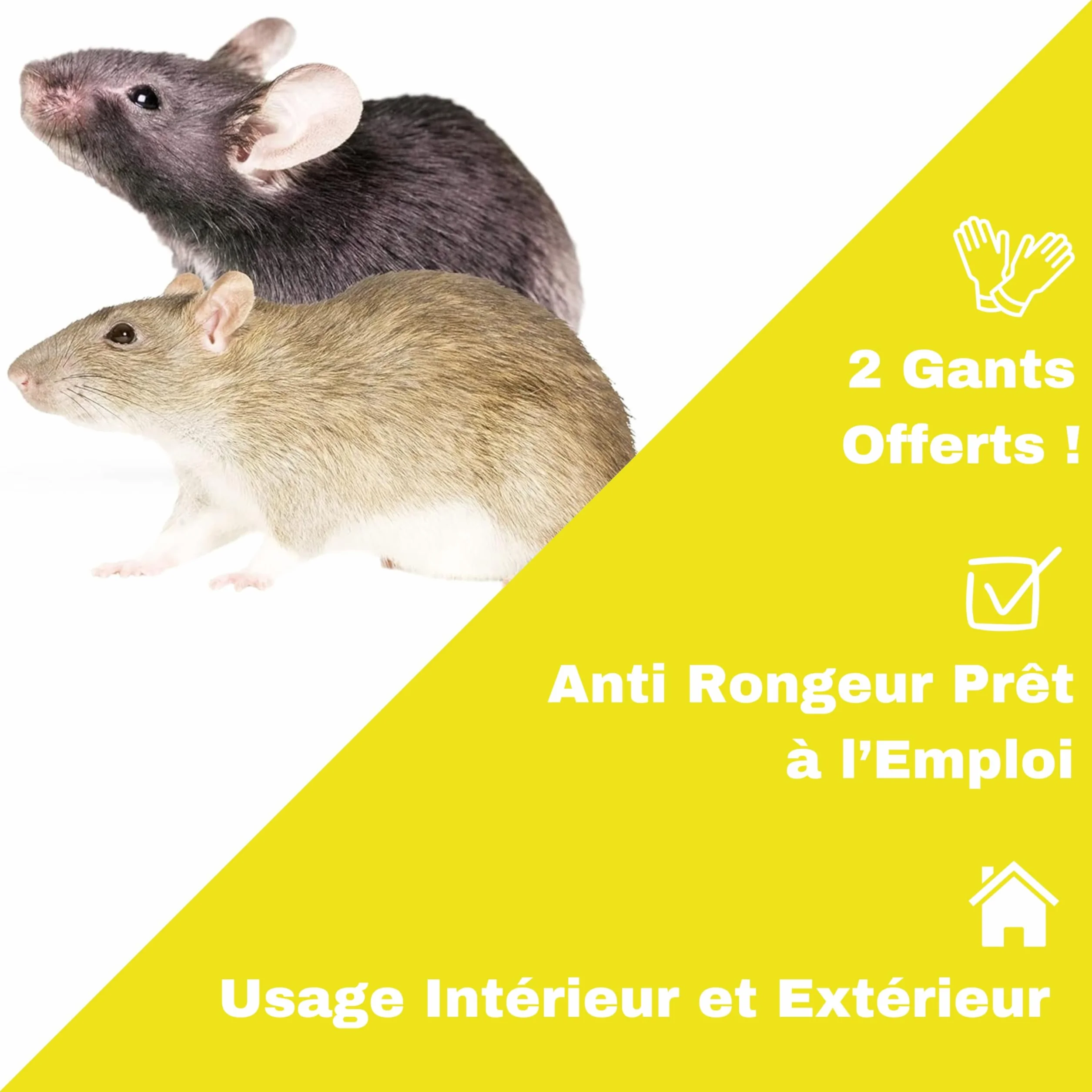 Raticide Professionnel Puissant 150g - Élimination Rapide Rats et Souris - Appât Poison Haute Appétence