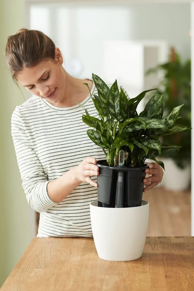 Elho Self-Watering Insert 17 - Accessoires pour Intérieur - Plastique Recyclé - Ø 17.0 x H 15.7 cm - Noir