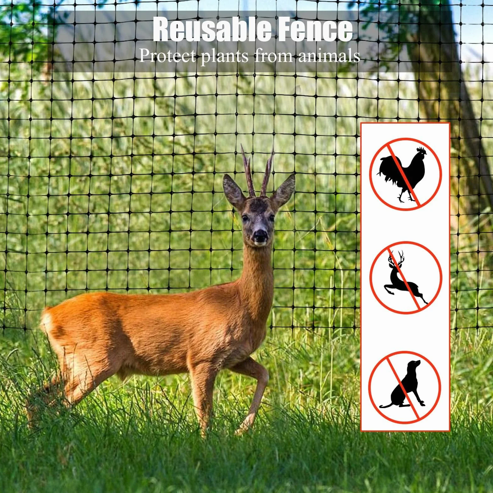 Filet Anti Oiseaux Arbre Fruitier 4 x 10m avec 50 Attache Câble Réutilisable