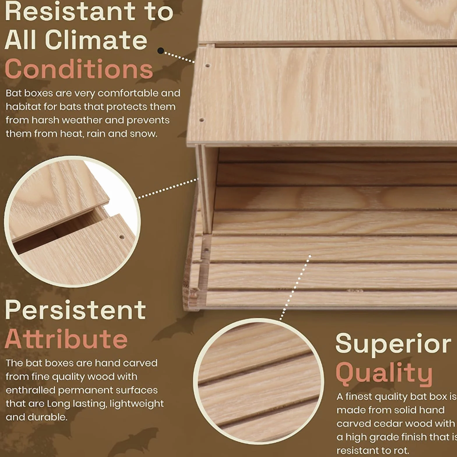 Kit Maison pour Chauves-souris, Abri souris, Fournitures de Construction