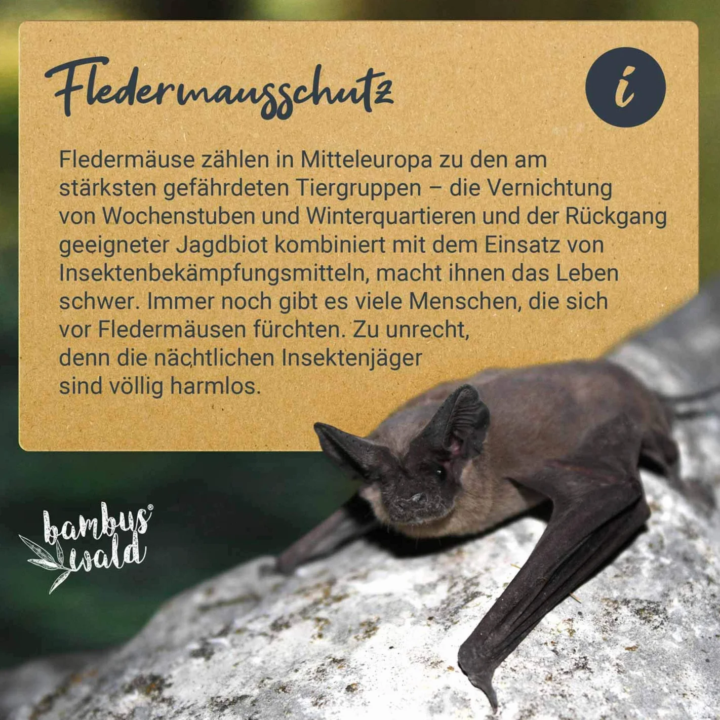 Grande boîte à chauves-souris en bois massif résistante aux intempéries - nichoir pour été et hiver