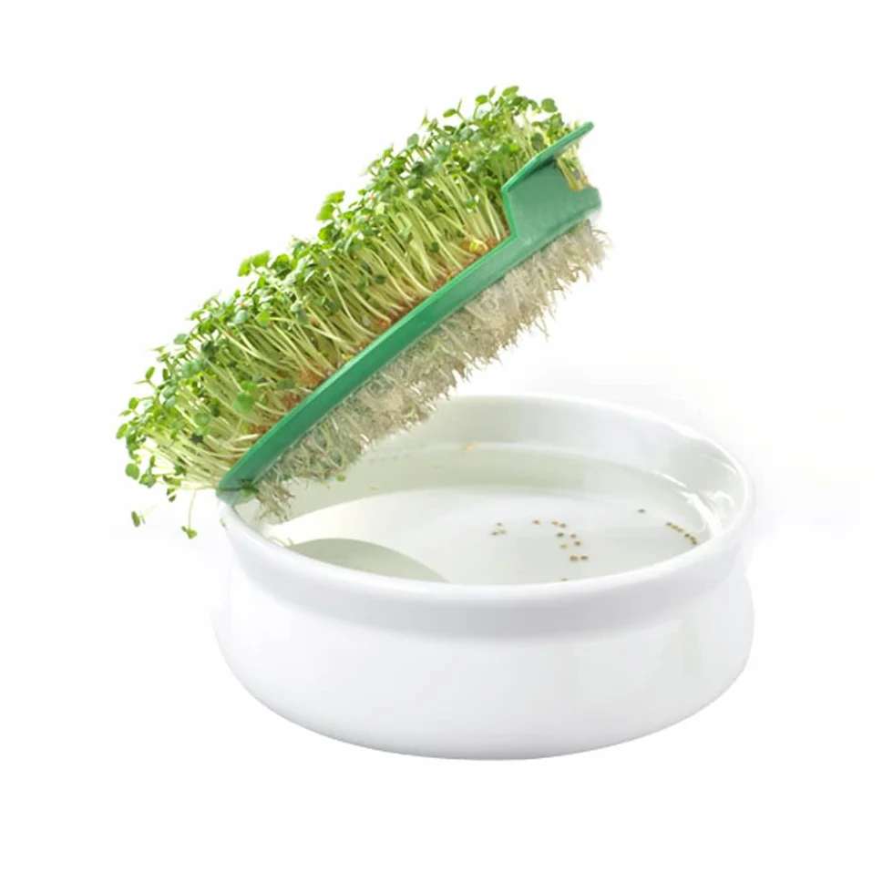 Germ'line Germoir Lot de 2 Coupelle de Germination Blanc 14.5 cm x 14.5 cm x 7 cm sans BPA