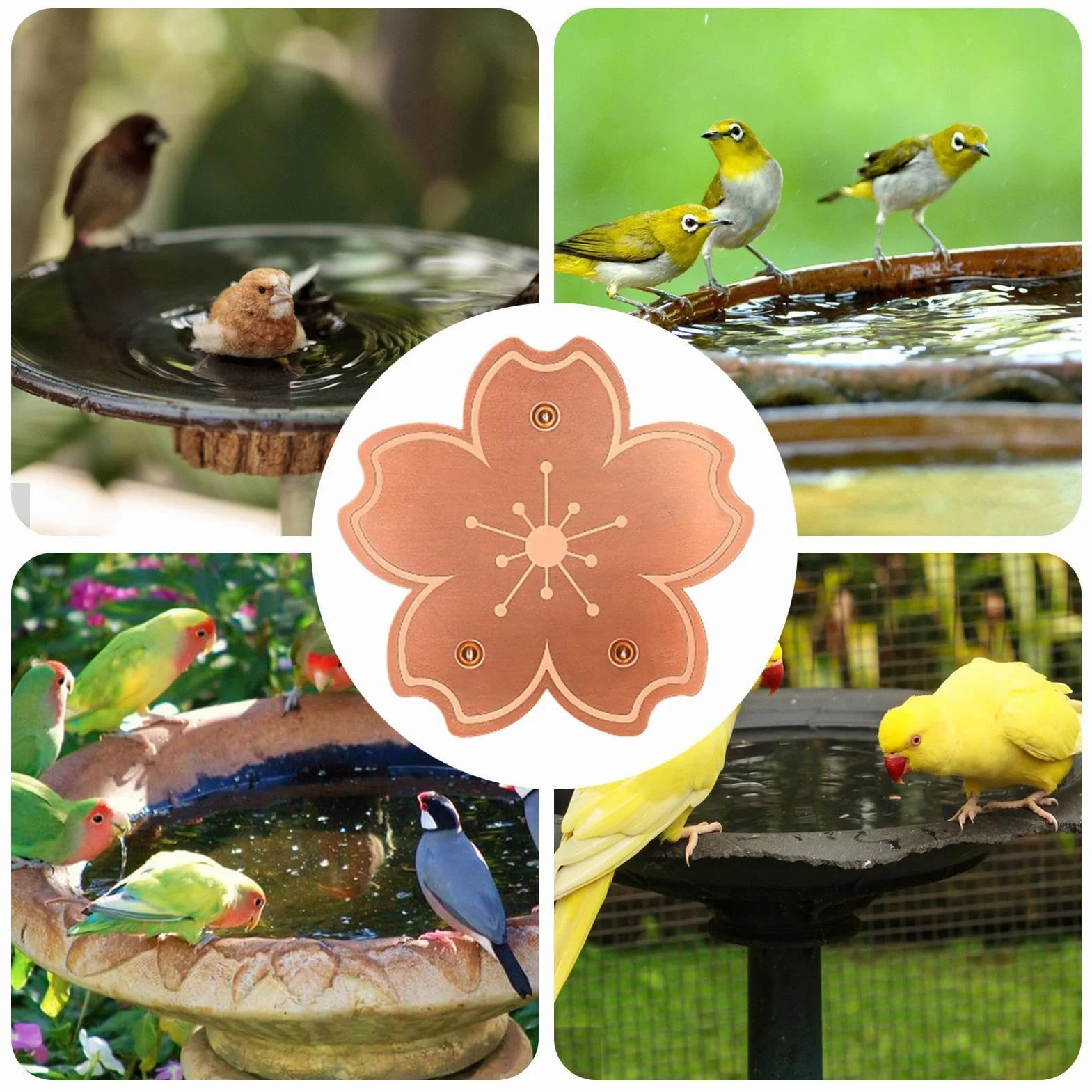 Disque Cuivre Bain Oiseaux Plaques Bronze Bassin Purificateur Eau Naturel Anti Algues Résistant Rouille Support Stable Trois Points