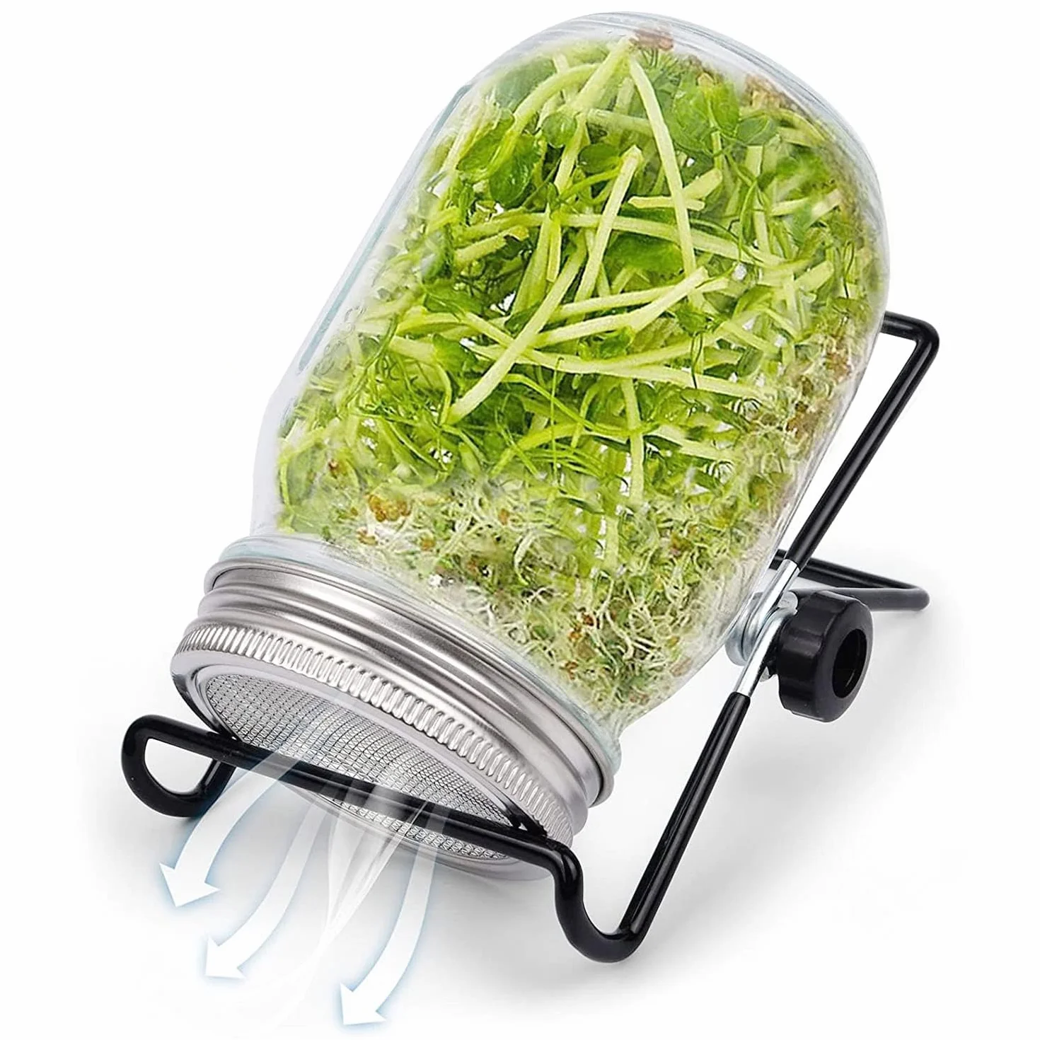 Zoojoy Kit de Germination de Graines avec Couvercles en Acier Inoxydable, Supports et Germinateur