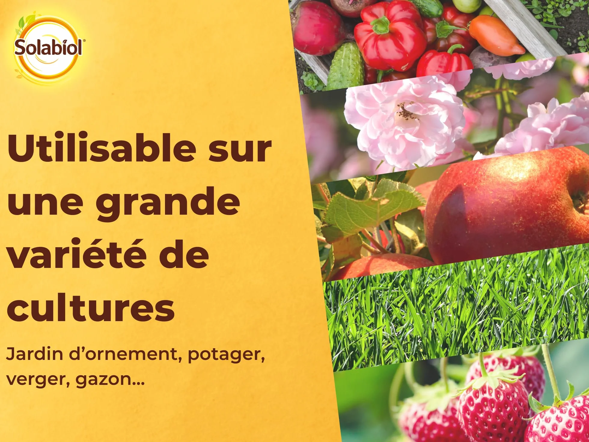 SOLABIOL Engrais Jardin Complet 5Kg - Utilisable en Agriculture Biologique - Double Action Starter & Nutrition Longue Durée