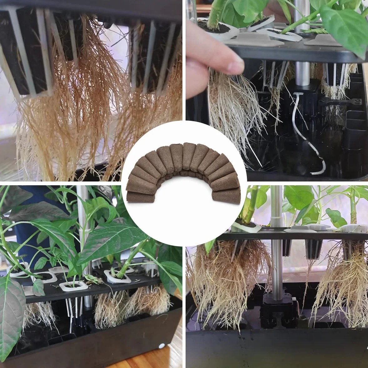 IPARTS EXPERT Lot de 50 éponges de culture hydroponique pour plantes d'intérieur