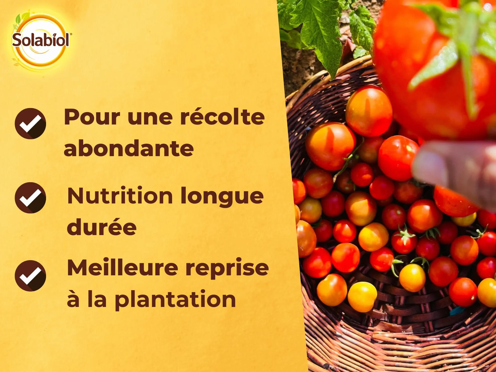 SOLABIOL Engrais Tomates & Légumes Du Soleil 750g Jusqu'à 15 Plants Nutrition Longue Durée Agriculture Biologique