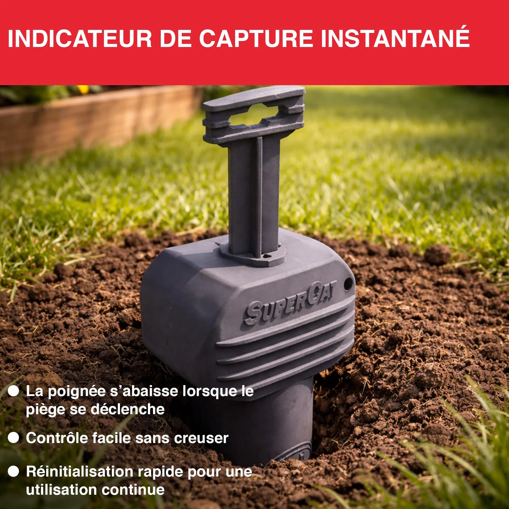 SWISSINNO Piège à campagnols Pro SuperCat 2X Pièges + Accessoires Mécanisme breveté Réutilisable