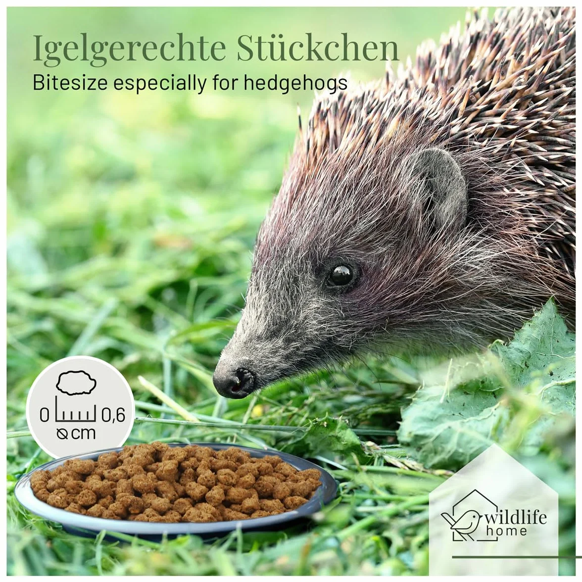 Wildlife Home Nourriture pour hérissons sans céréales 2 kg protéines d'insectes
