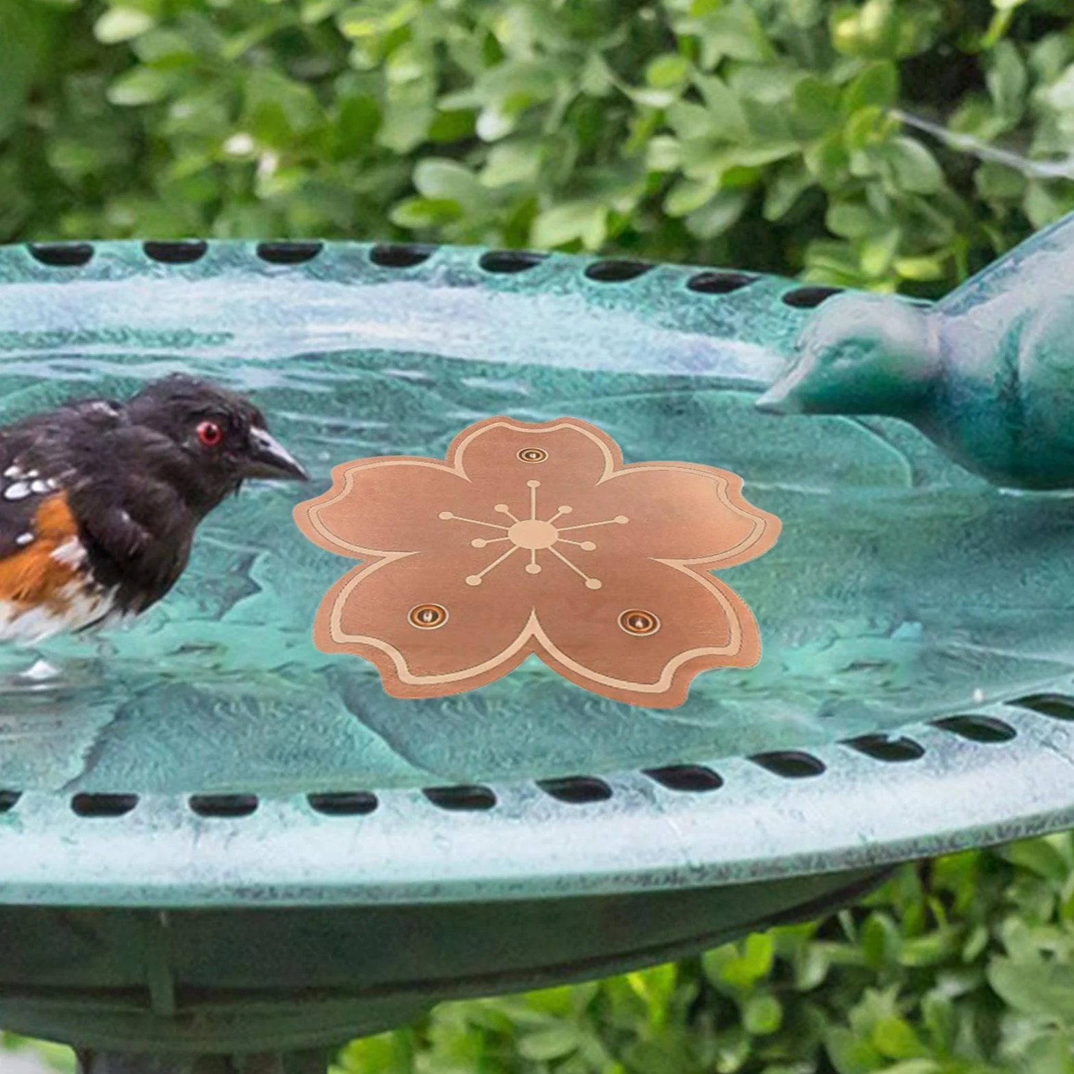Disque Cuivre Bain Oiseaux Plaques Bronze Bassin Purificateur Eau Naturel Anti Algues Résistant Rouille Support Stable Trois Points