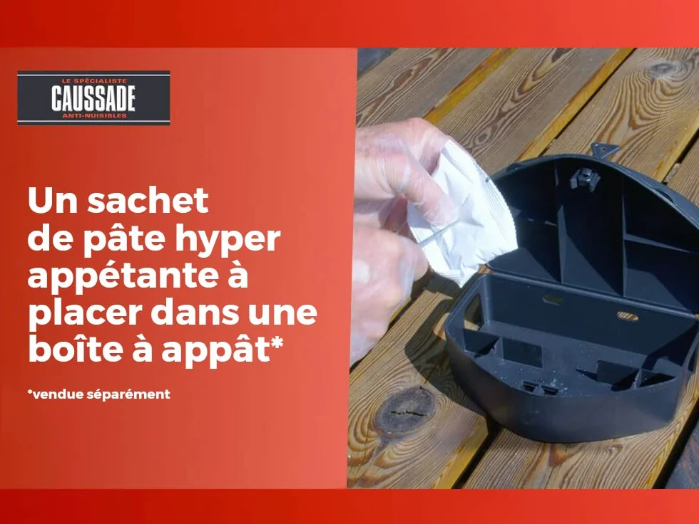 CAUSSADE Anti Rats & Souris Forte Infestation 10 Sachets Pâtes Fluorescents 150g